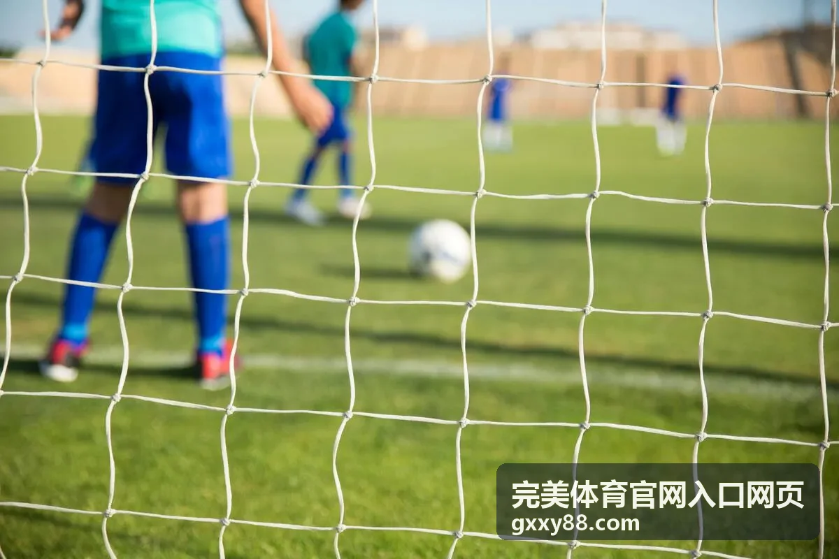 完美体育官网入口网页桌面端访问路径示意
